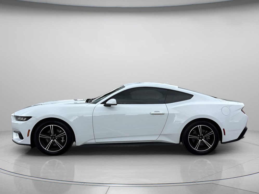 Used 2024 Oxford White Ford EcoBoost image 5