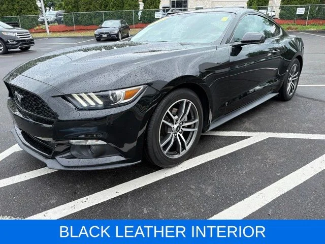 Used 2017 Black Ford EcoBoost Premium image 3