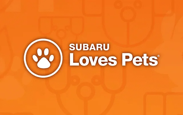 Used 2025 White Chrysler Select image 6