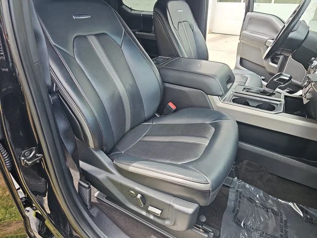 Used 2020 Black Ford Platinum image 10