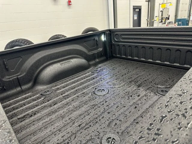 New 2026 Diamond Black Crystal Pearl-Coat Exterior Paint RAM Laramie image 19