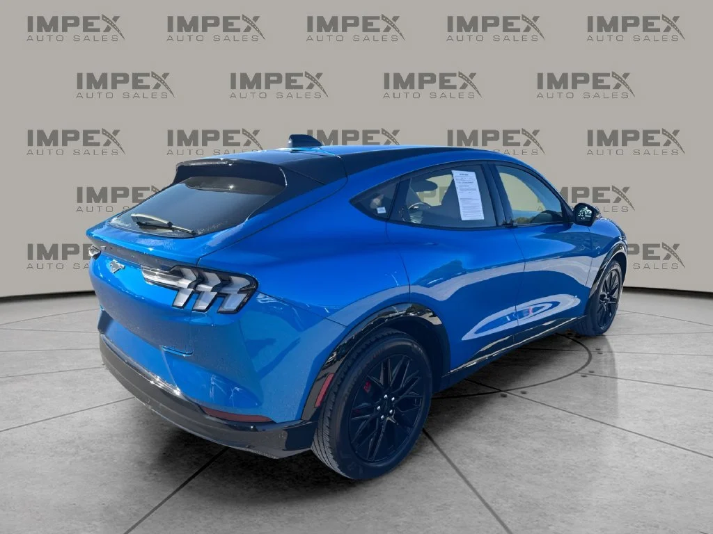 Used 2025 Blue Ford Premium image 5
