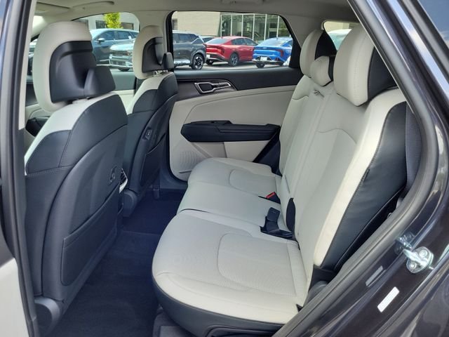 New 2026 Panthera Metal Gray Kia EX image 16
