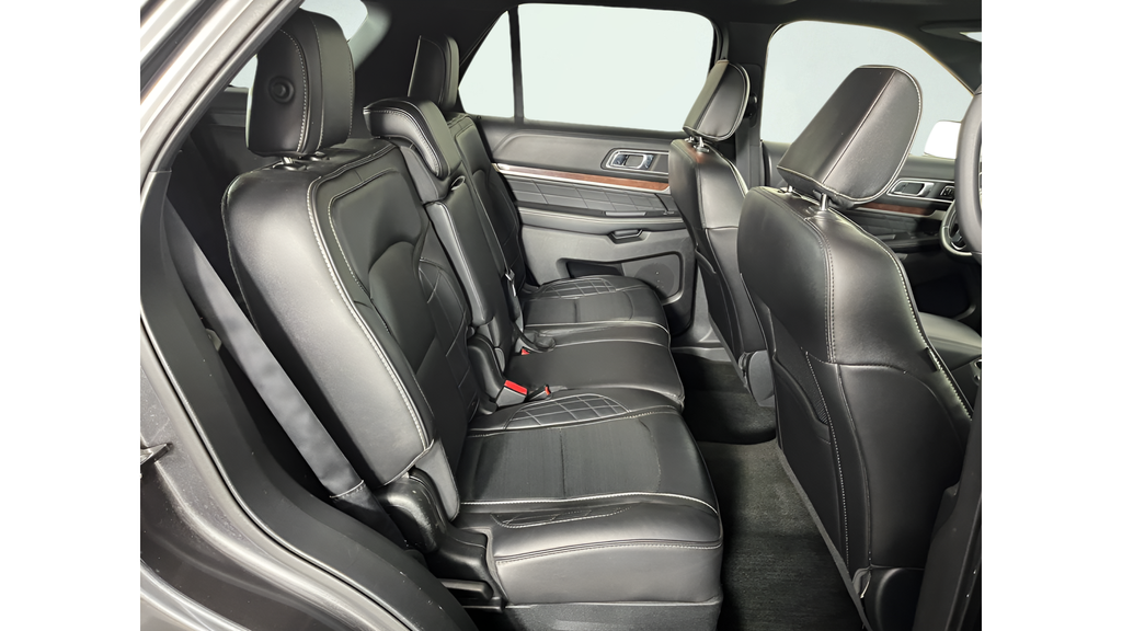 Used 2018 Magnetic Ford Platinum image 14