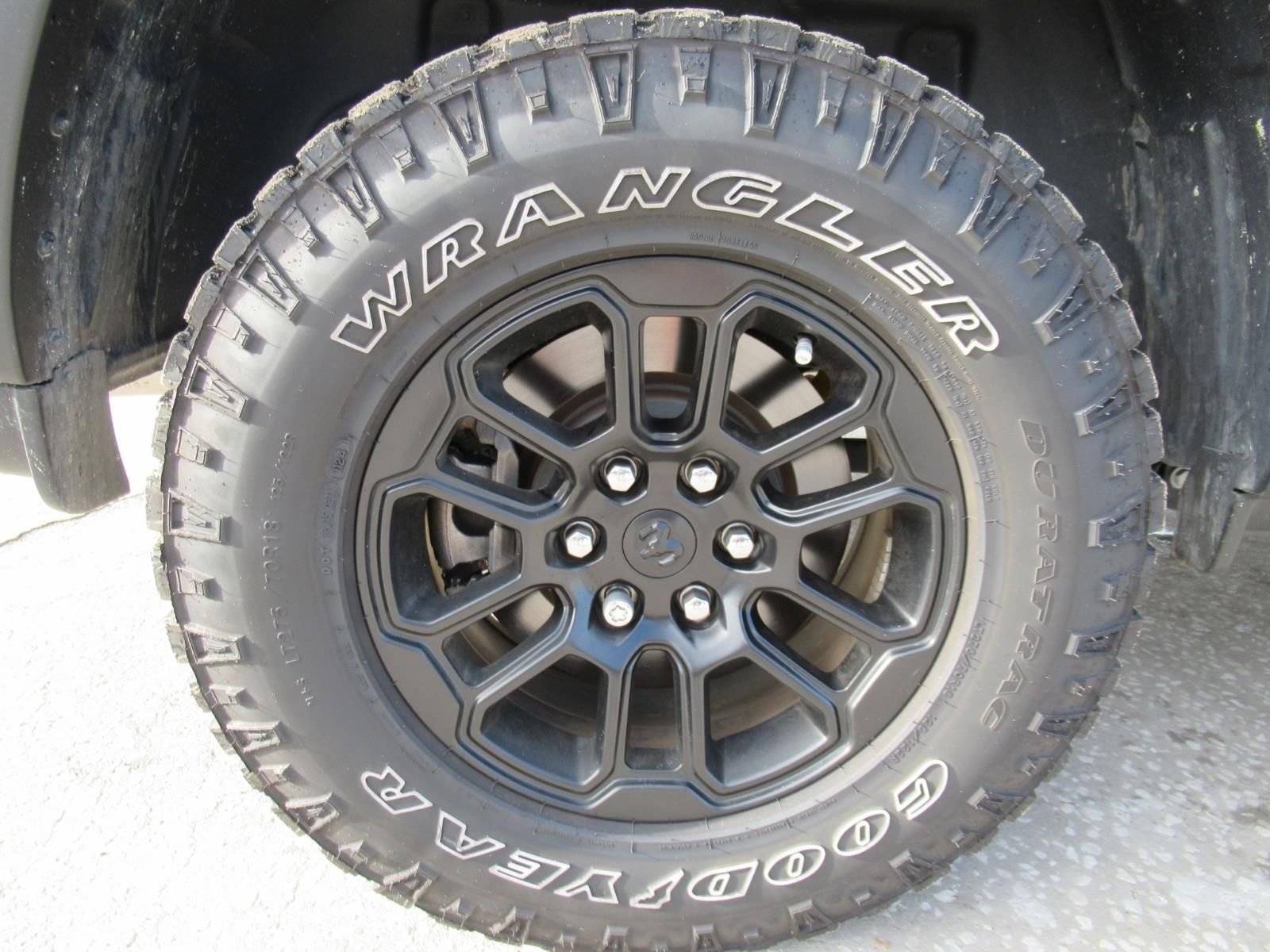 Used 2025 Black Ram Rebel image 5