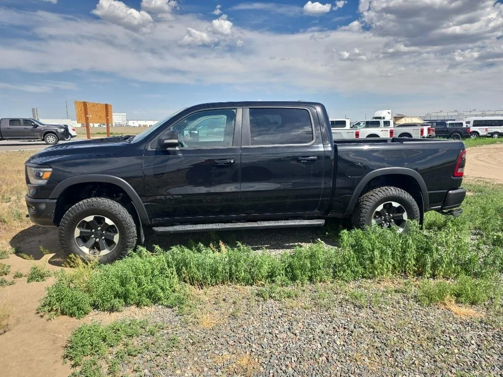 Used 2021 Black Ram Rebel image 2