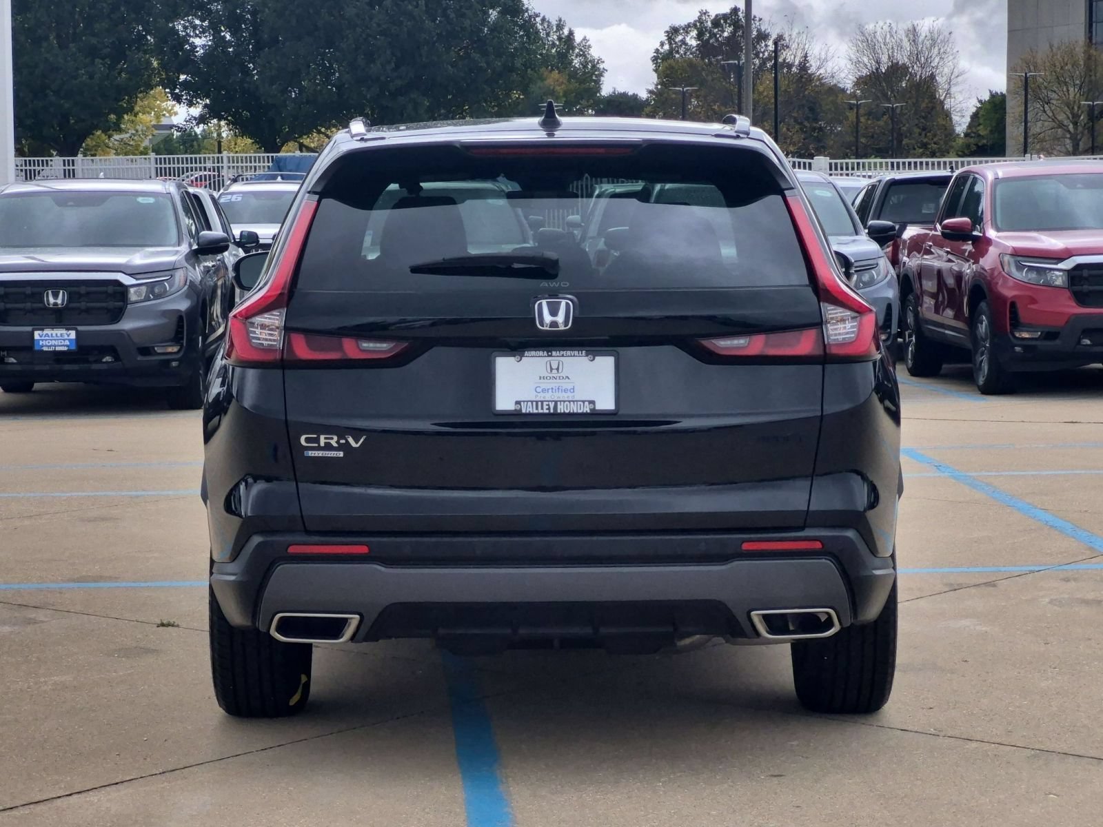 Certified Used 2024 Black Honda Sport-L image 7