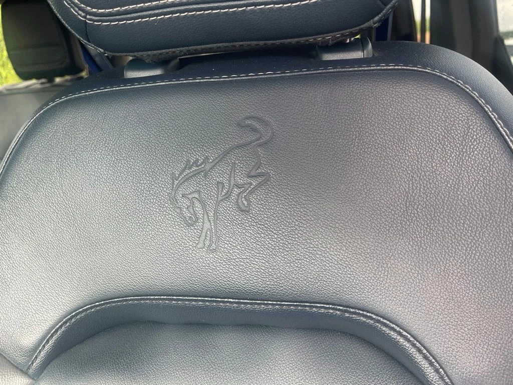 Used 2021 Blue Ford First Edition image 18