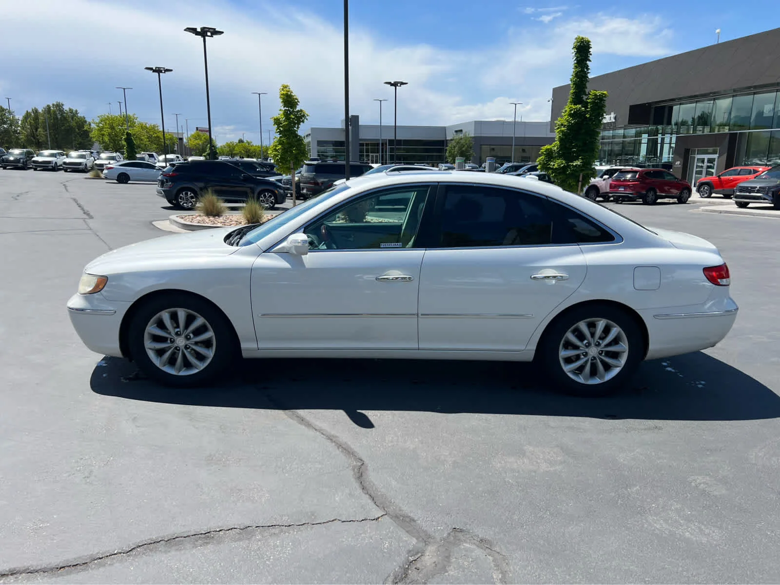 View 12