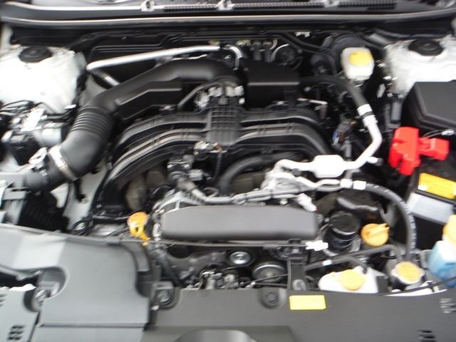 View 6