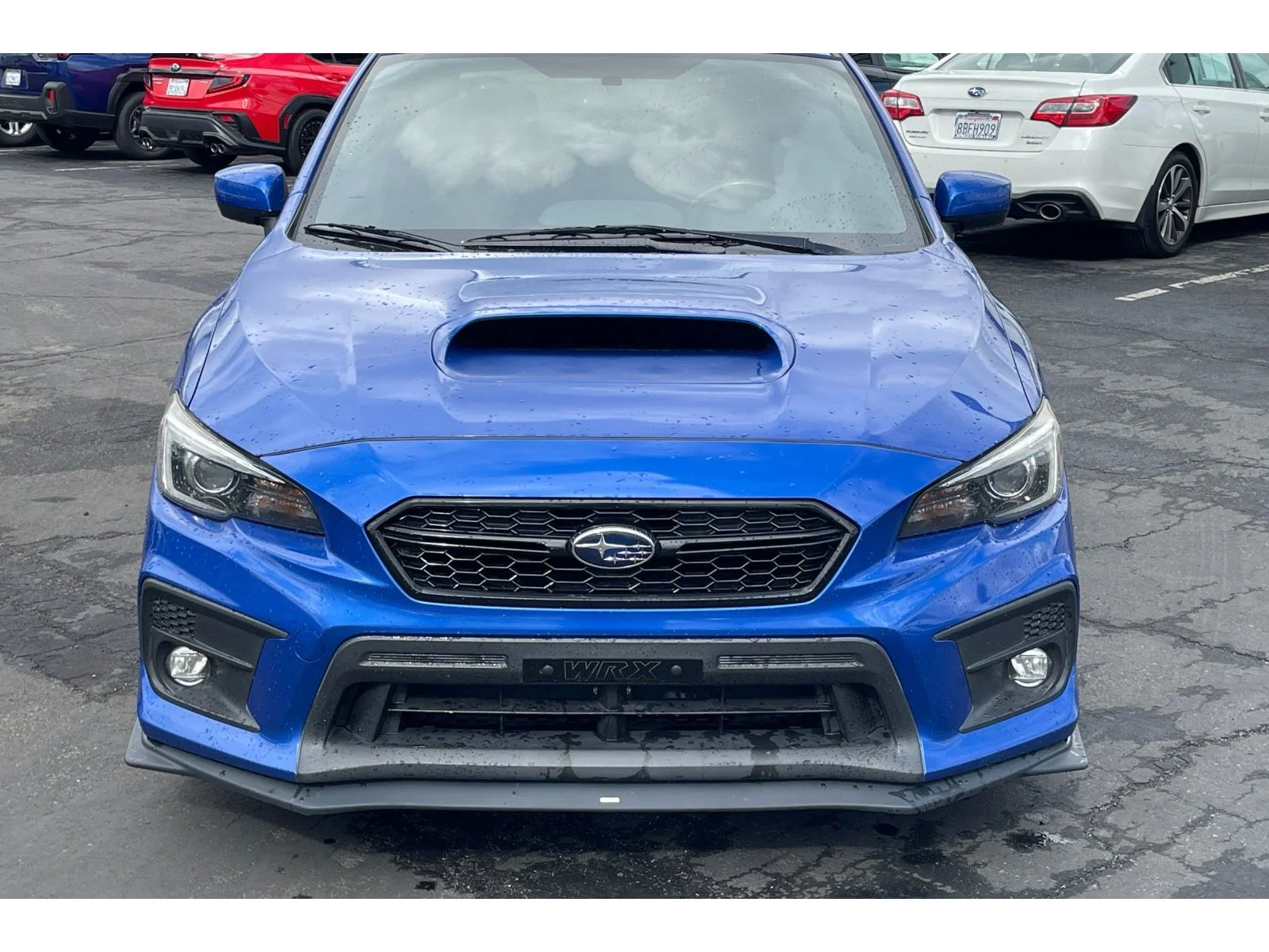 Used 2019 WR Blue Pearl Subaru Limited image 9