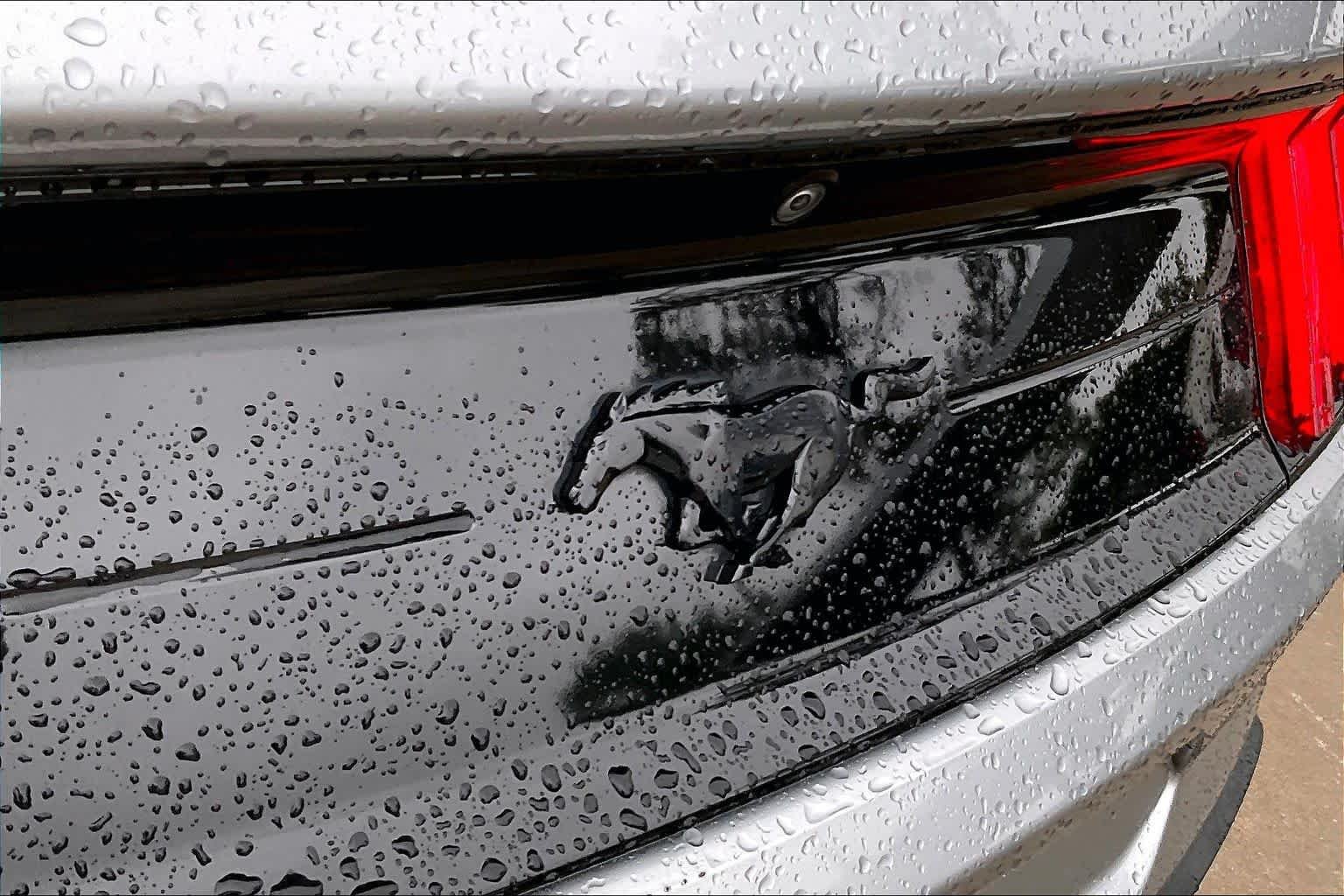 Used 2021 Iconic Silver Ford EcoBoost image 29