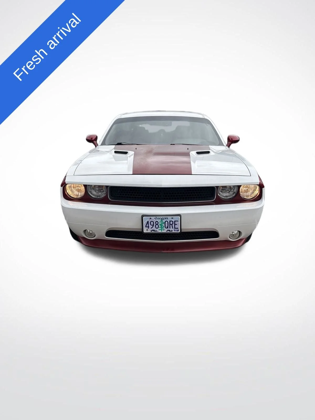 Used 2013 Bright White Clearcoat Dodge SXT image 1