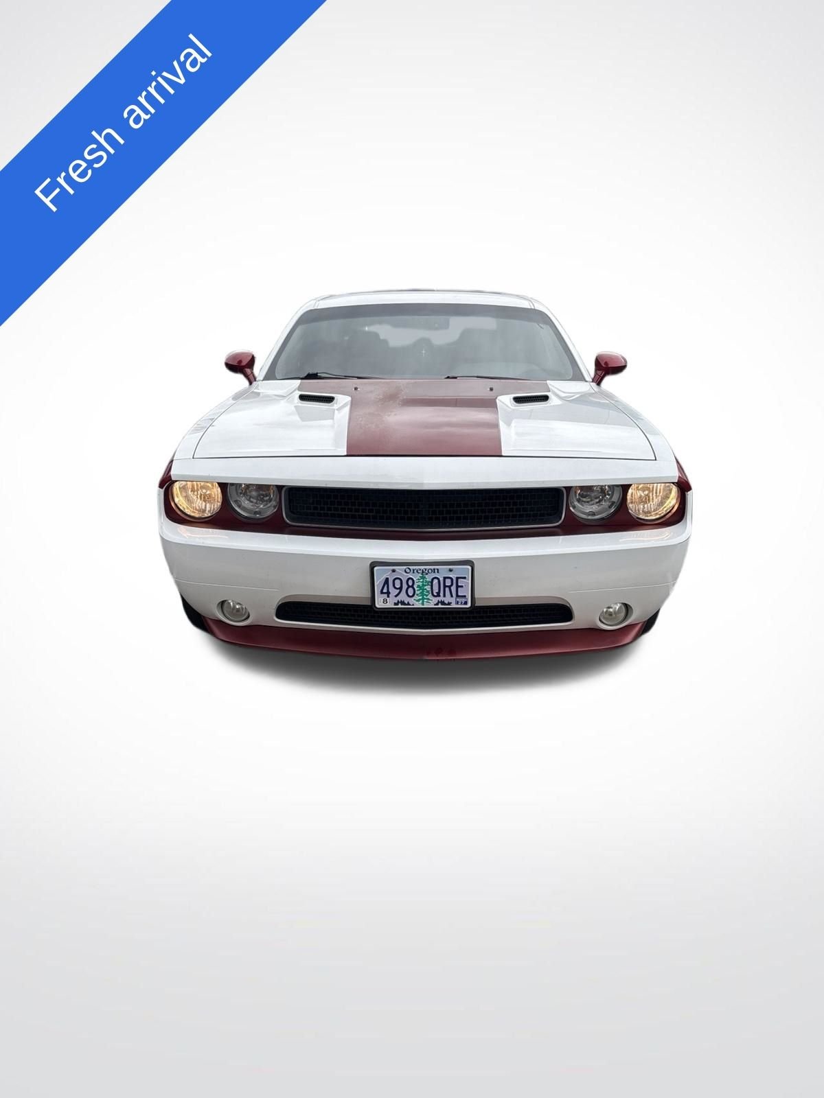Used 2013 Bright White Clearcoat Dodge SXT image 1