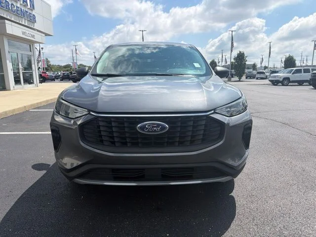 Used 2024 Light Blue Clearcoat Metallic Ford Active image 3
