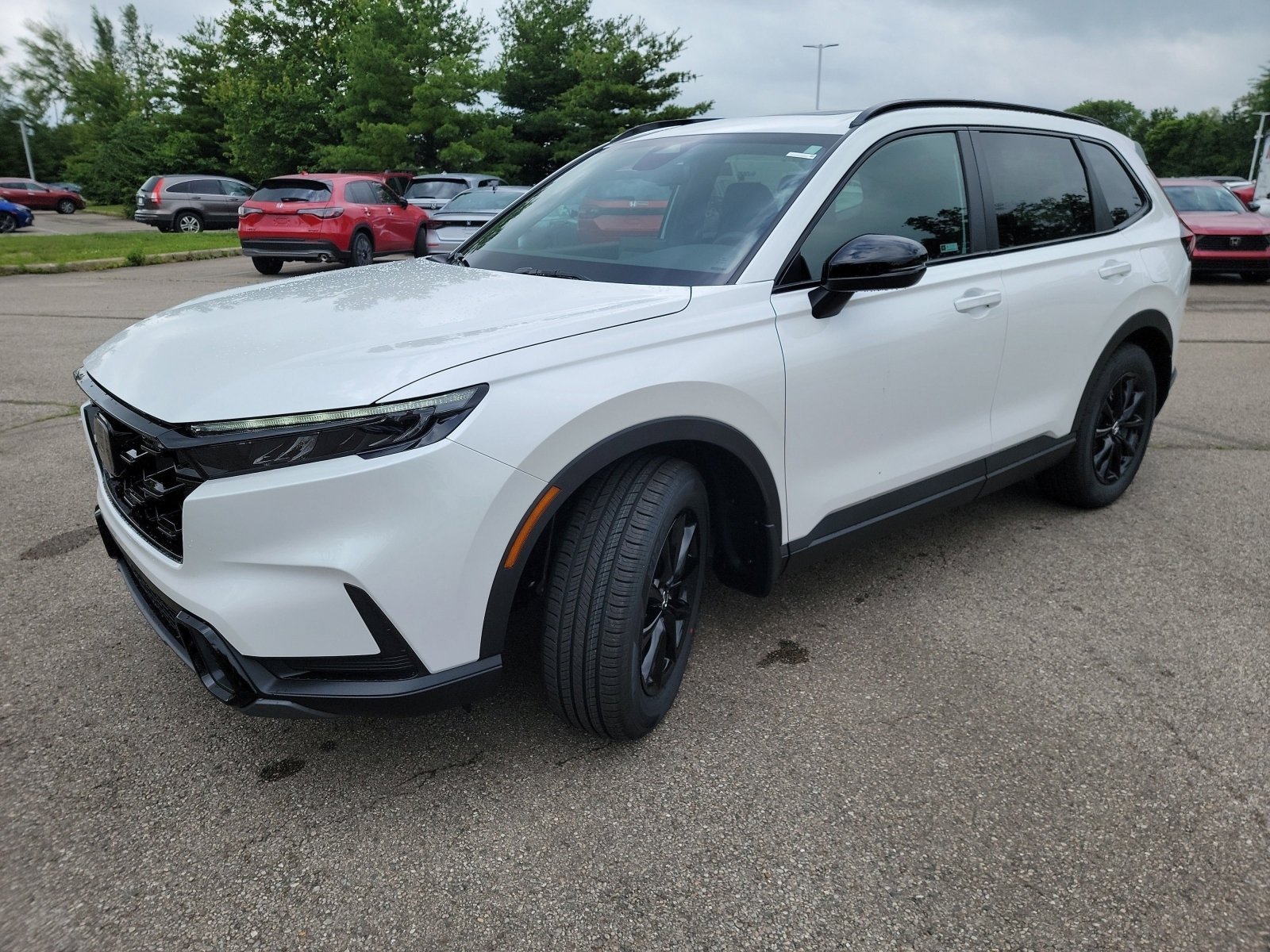 New 2026 Platinum White Pearl Honda Sport image 3