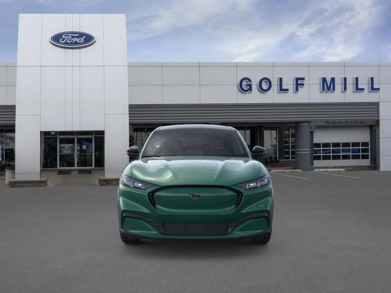 New 2026 Eruption Green Metallic Ford Premium image 5