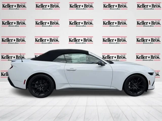 2025 Ford Mustang EcoBoost Premium Convertible - Photo 8