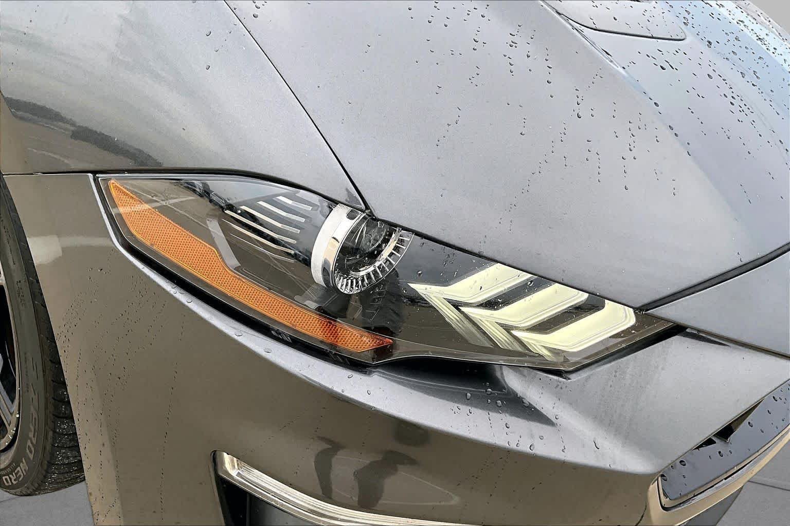 Used 2019 Magnetic Metallic Ford GT image 24