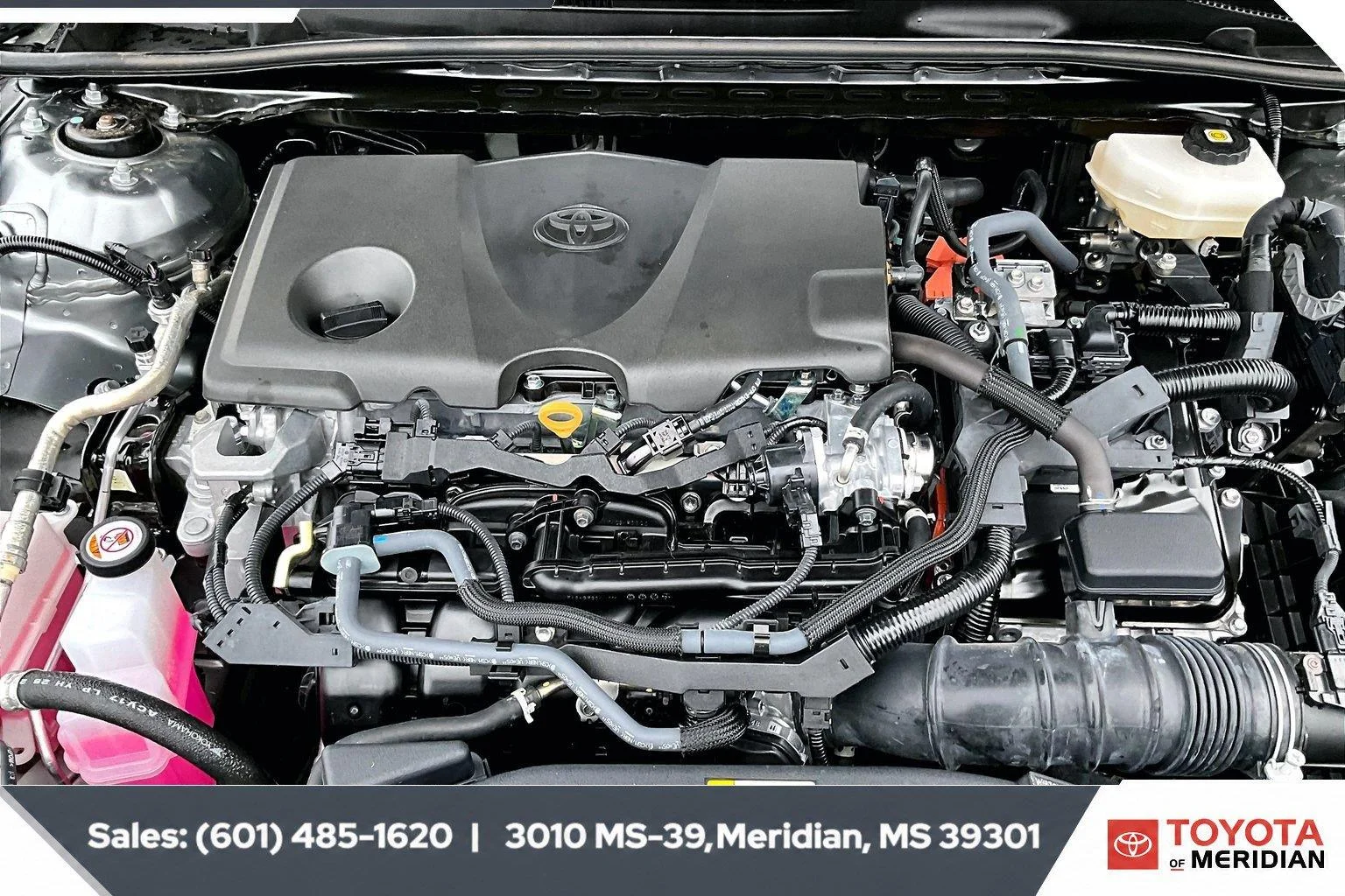 Used 2025 Heavy Metal Toyota SE image 8