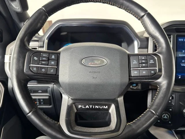 Used 2022 Quartz Metallic Ford Platinum image 19