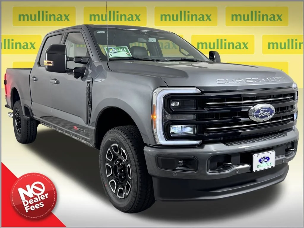 New 2026 Gray Ford Platinum image 1