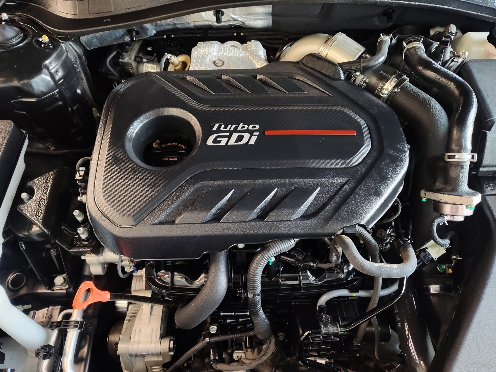Used 2019 Ebony Black Kia SX image 30