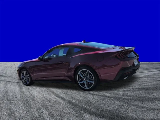 New 2026 Molten Magenta Metallic Tinted Clearcoat Ford EcoBoost® Premium Fastback image 6