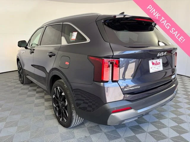 New 2026  Kia SX image 5