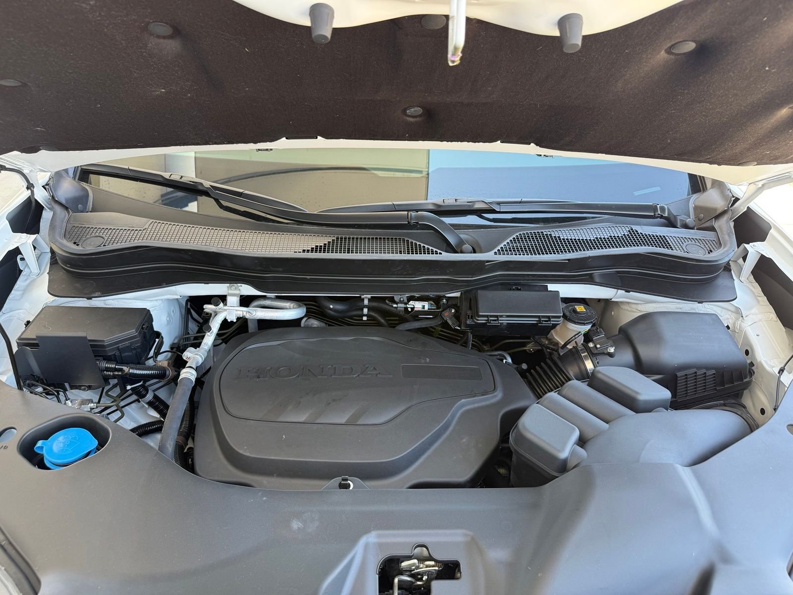 New 2026 Platinum White Pearl Honda Black Edition image 46
