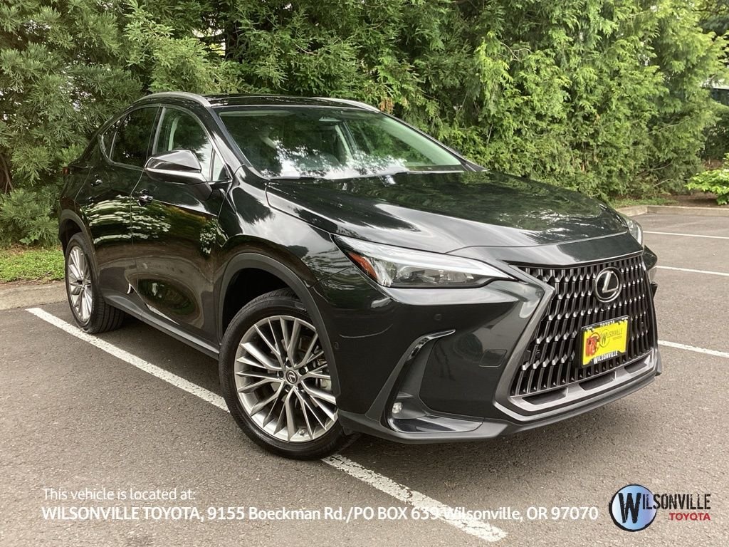 2022 Lexus NX 350h 350h Luxury AWD's photo