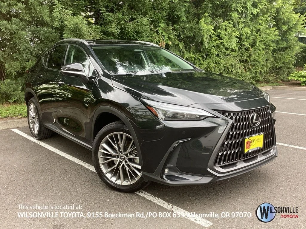 2022 Lexus NX 350h 350h Luxury AWD's photo