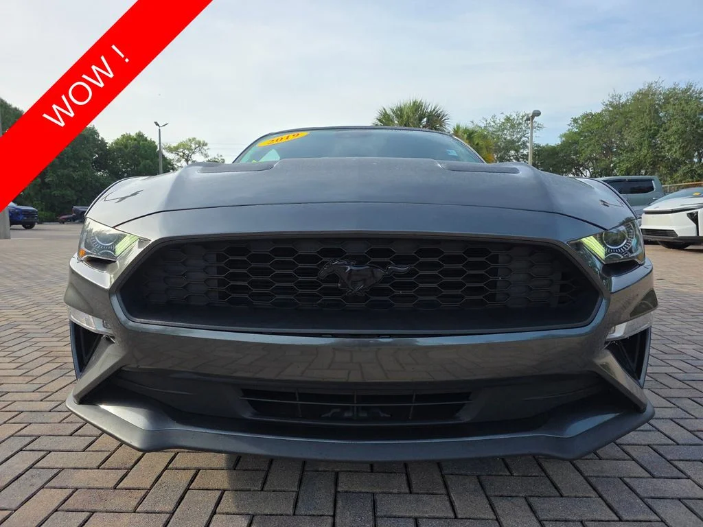 Used 2019 Ford Mustang EcoBoost Premium with VIN 1FA6P8TH6K5167335 for sale in Stuart, FL