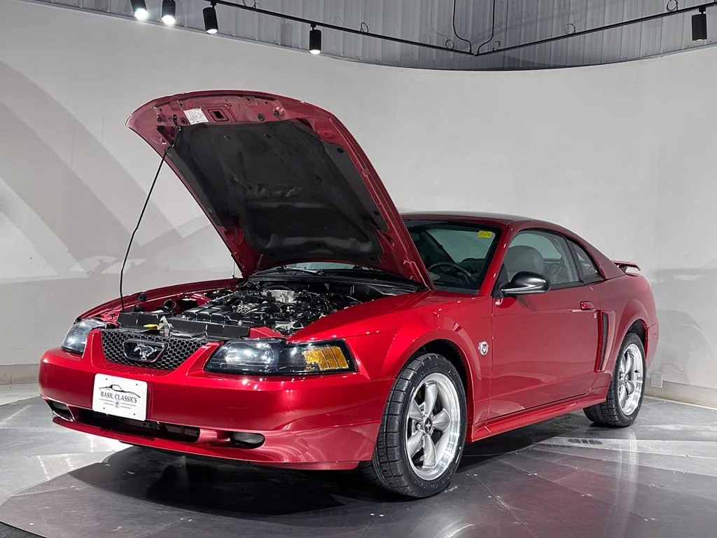 Used 2004  Ford GT image 28