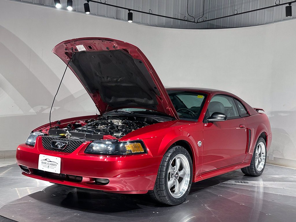 Used 2004  Ford GT image 28
