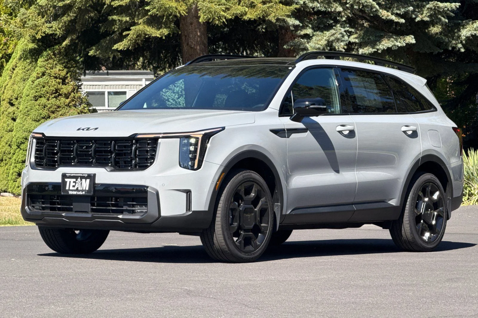 2025 Kia Sorento X-Line SX Prestige - Photo 8