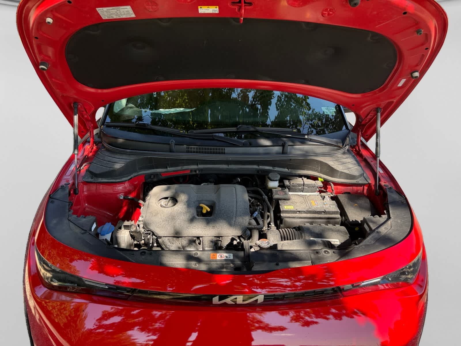 Certified Used 2025 Inferno Red/Black Roof Kia EX image 24