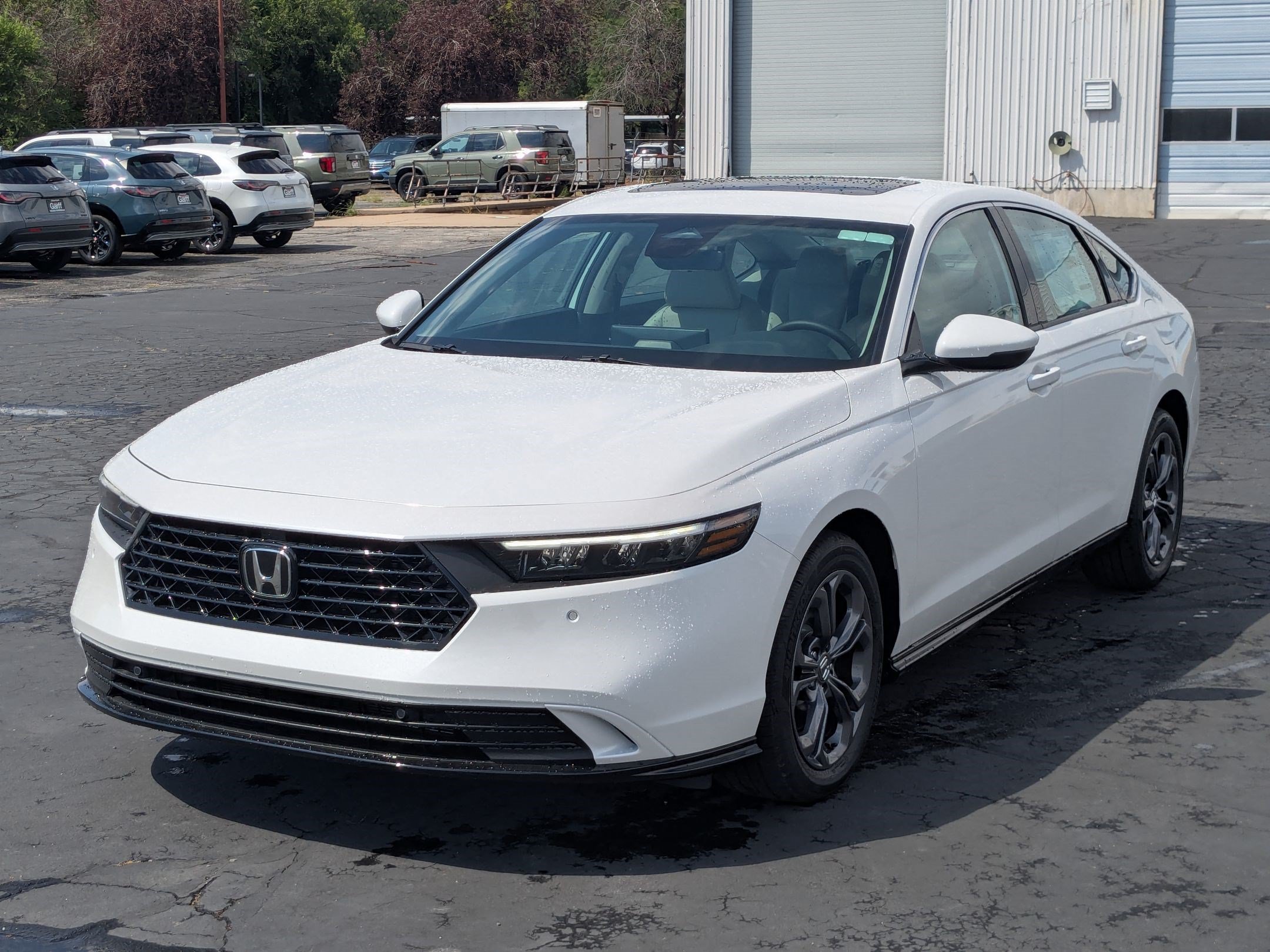 New 2026 Platinum White Pearl Honda EX-L image 8