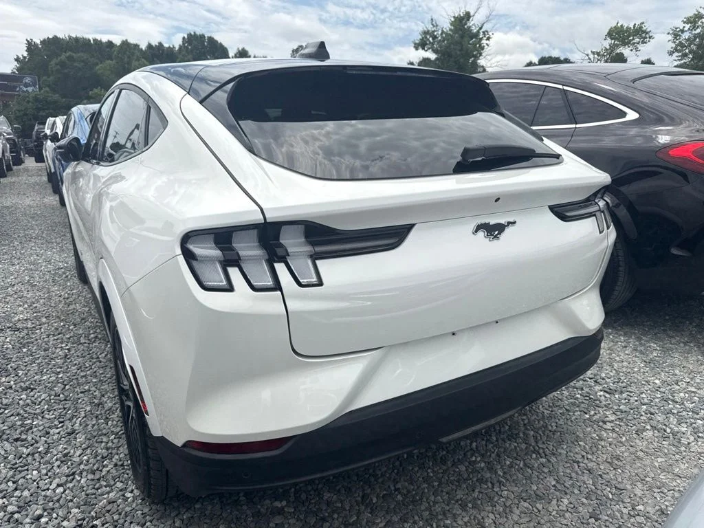 Used 2025 White Ford Premium image 4