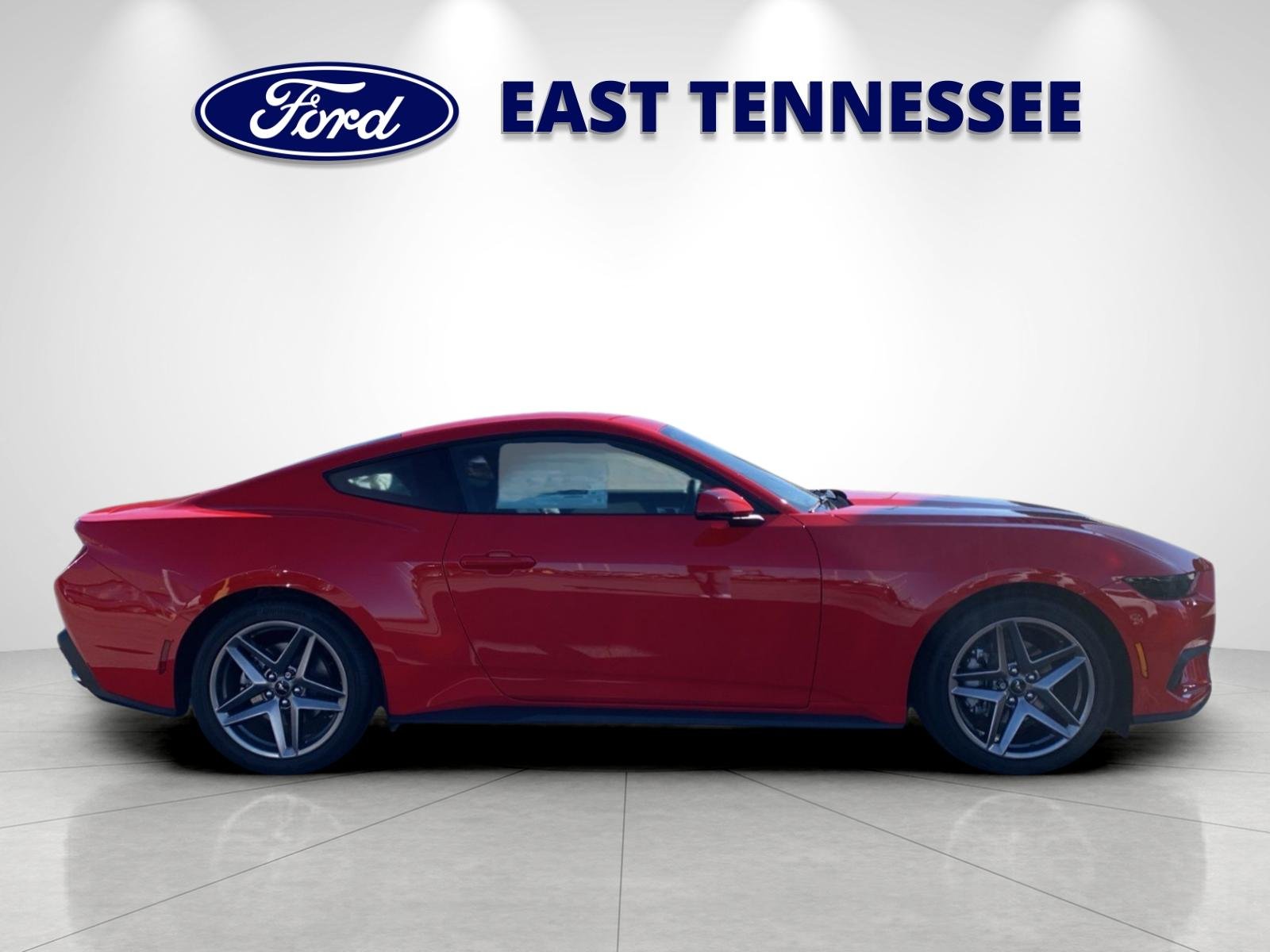 New 2026 Race Red Ford EcoBoost® Premium Fastback image 2