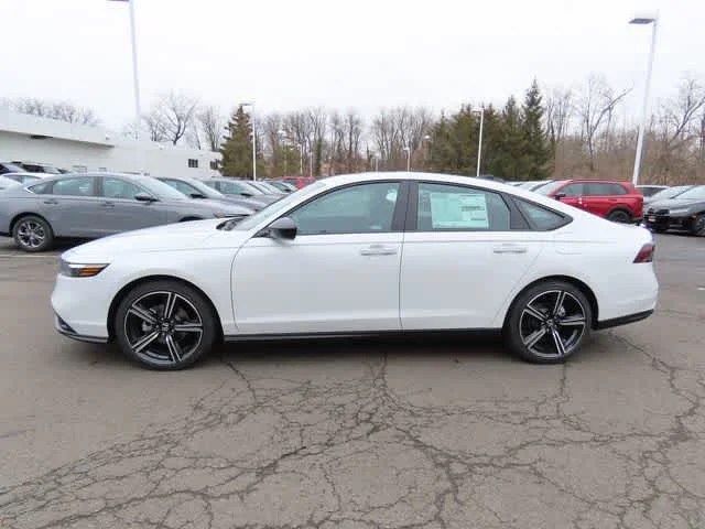 New 2026 Platinum White Pearl Honda SE image 3