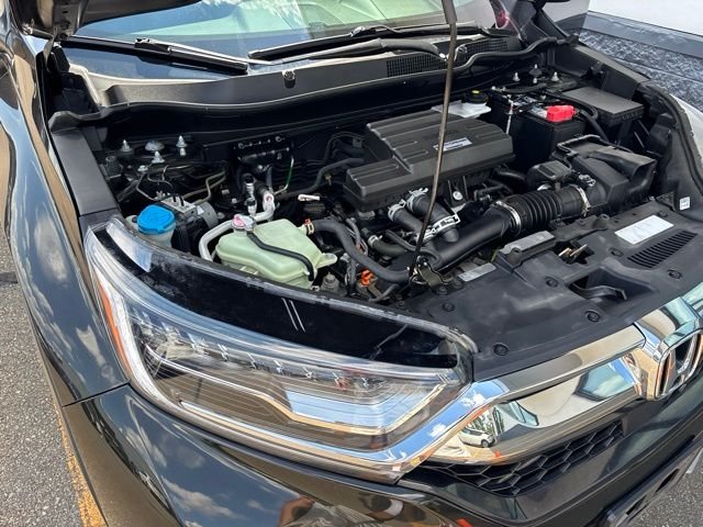 Used 2019 Green Honda Touring image 18