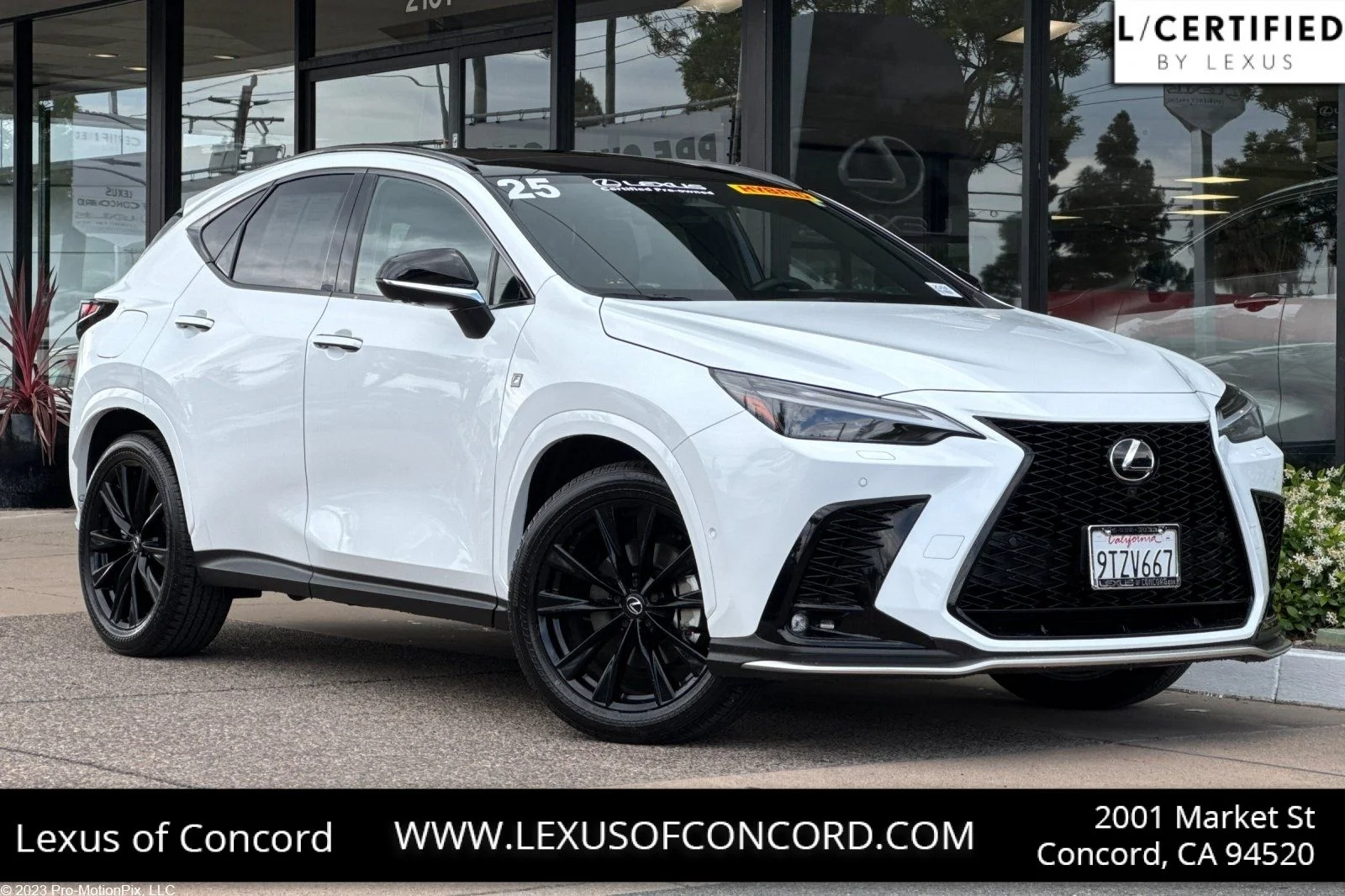 2025 Lexus NX 450h+ 450+ F-Sport AWD's photo