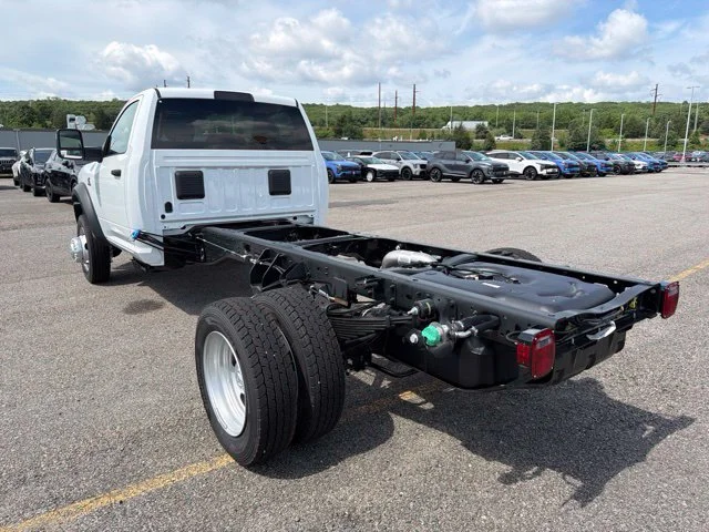 New 2026 White Ram Tradesman image 5