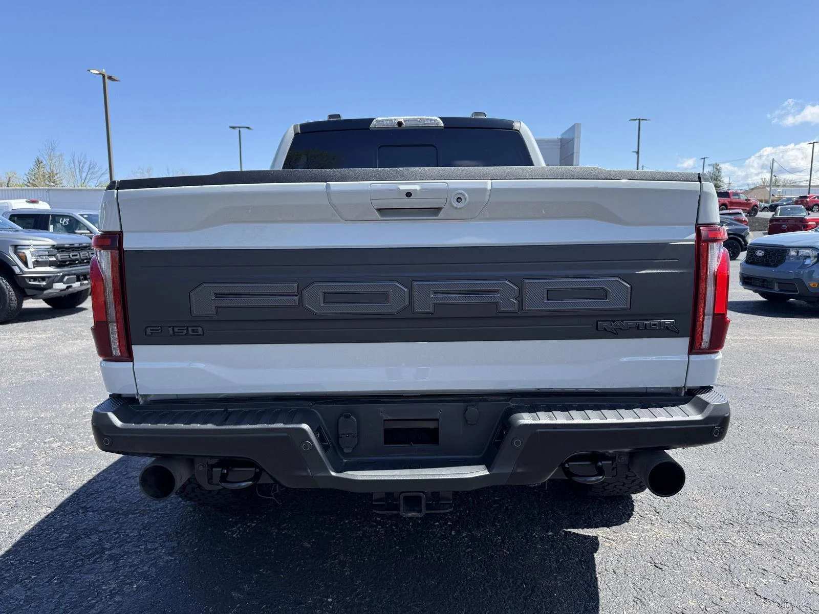 Used 2024 Avalanche Gray Ford Raptor image 24