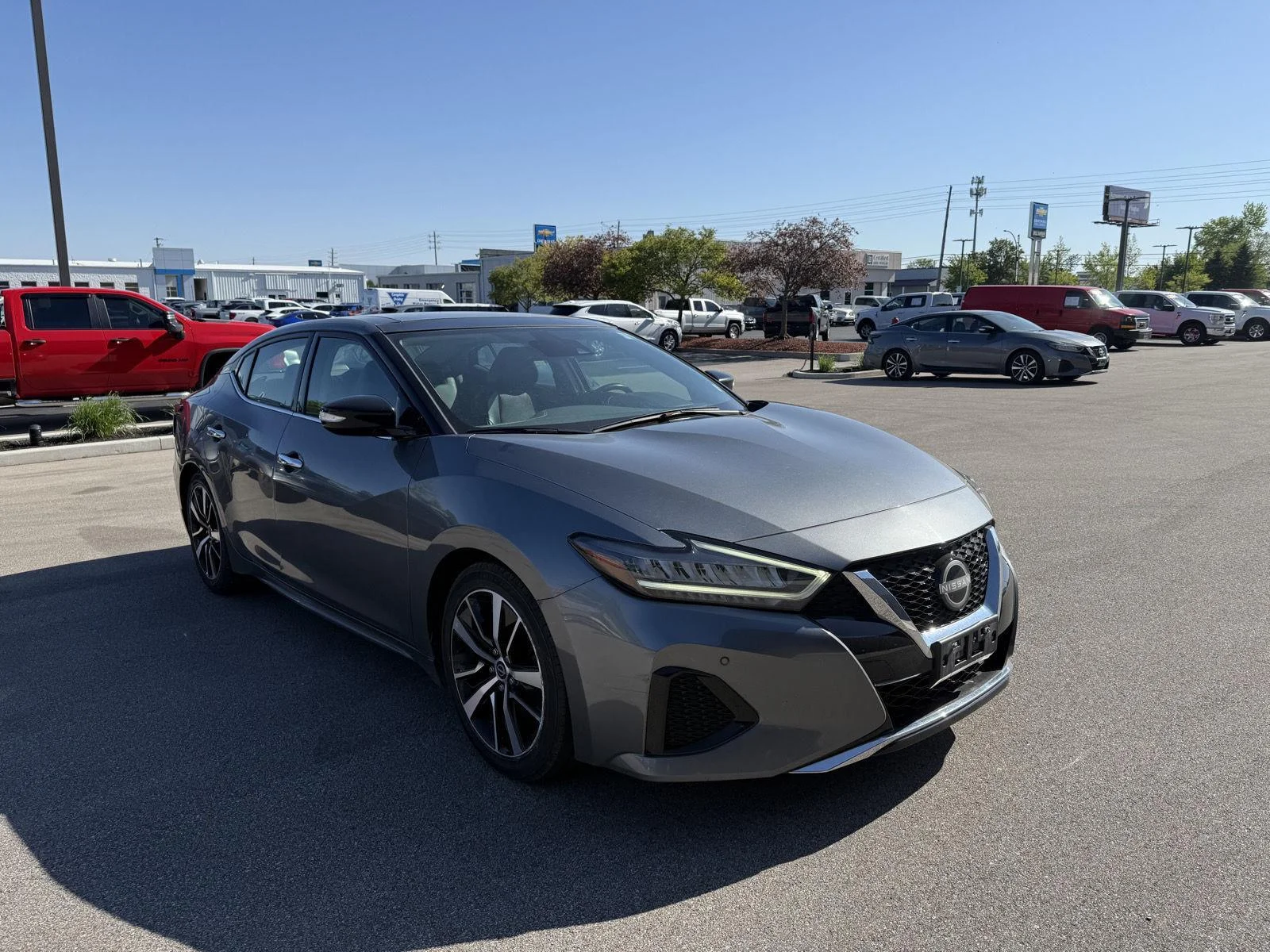 2023 Nissan Maxima SL's photo