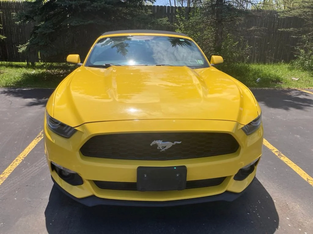 Used 2016 Ford Mustang V6 with VIN 1FATP8EM0G5284607 for sale in Hamburg, NY