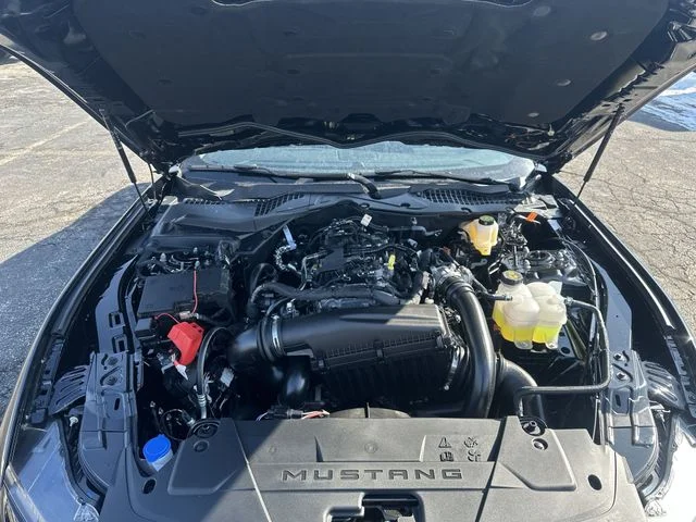 New 2026 Shadow Black Ford EcoBoost® Fastback image 18