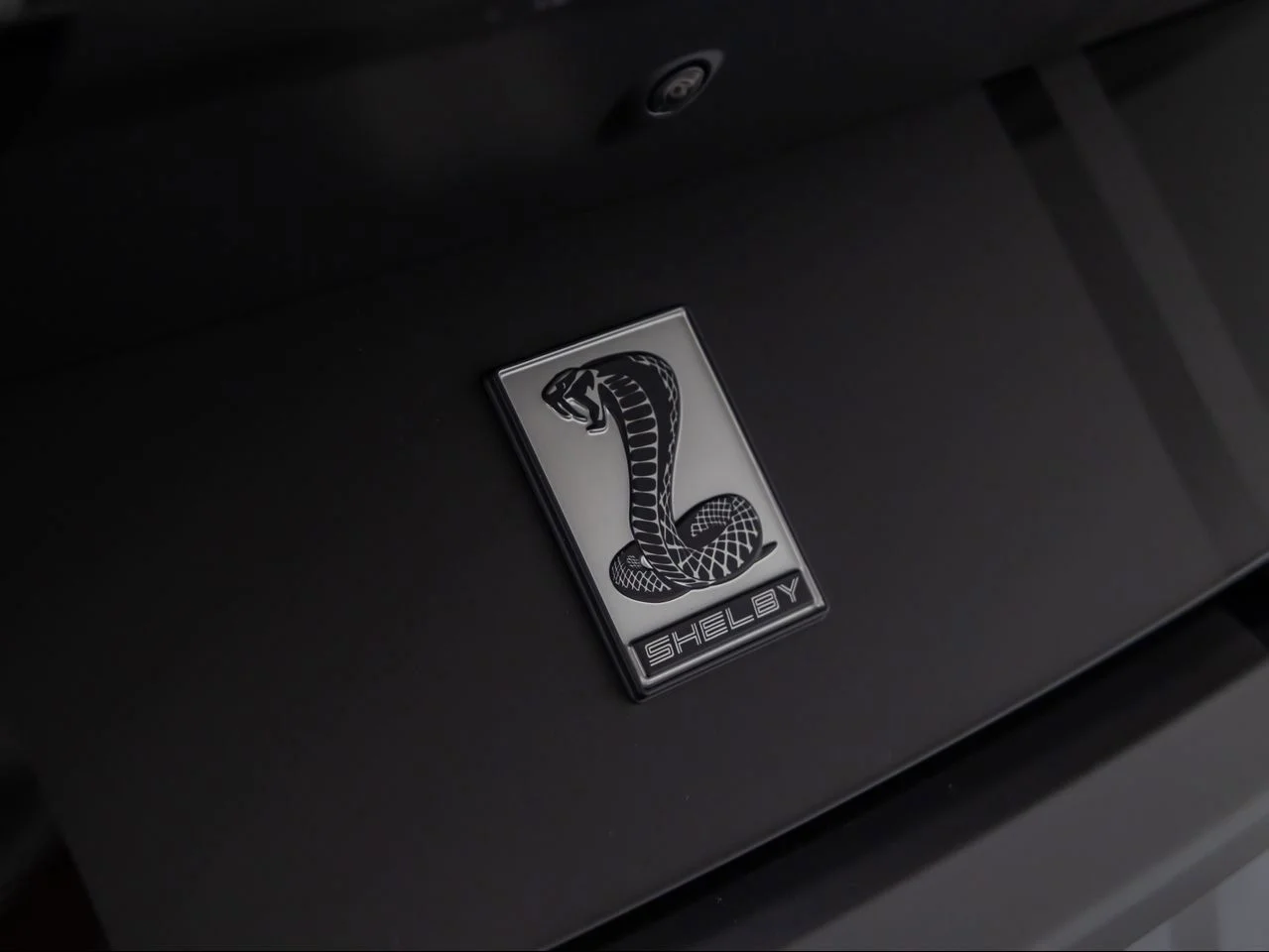 Used 2026 Black Shelby Super Snake image 34