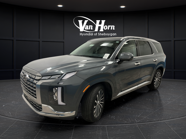 Used 2024 Steel Graphite Hyundai Calligraphy image 3